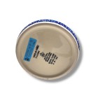 G46 Bunzlau Schenkkan Unikat U4661 Bunzlau Kannen